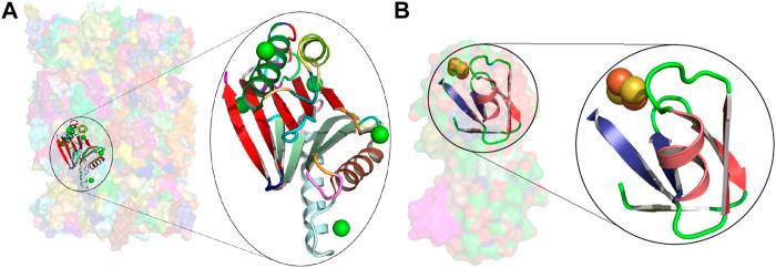 https://cdn.ncbi.nlm.nih.gov/pmc/blobs/a623/8120156/e6b43b1654e2/fmolb-07-612920-g004.jpg