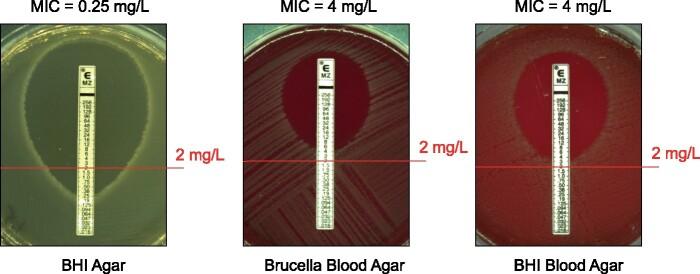 https://cdn.ncbi.nlm.nih.gov/pmc/blobs/a623/8212768/f65f0476fef6/dkab097f1.jpg