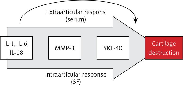 https://cdn.ncbi.nlm.nih.gov/pmc/blobs/a624/8924851/ecd318c6ff75/AMS-18-2-122730-g003.jpg