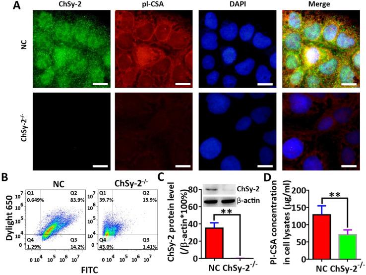 https://cdn.ncbi.nlm.nih.gov/pmc/blobs/a625/7738969/57035996ccaa/ijmsv18p0207g002.jpg