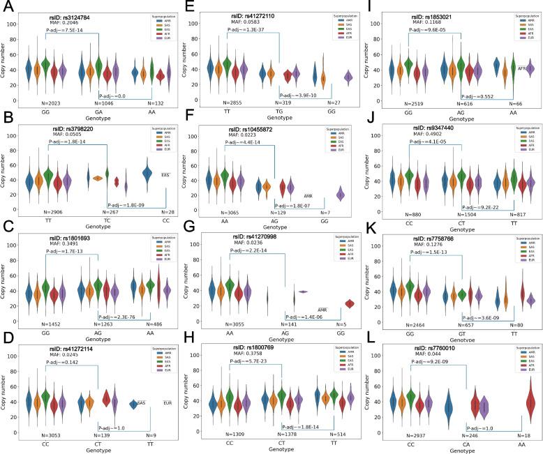 https://cdn.ncbi.nlm.nih.gov/pmc/blobs/a626/11515395/58789a48be94/12920_2024_2024_Fig3_HTML.jpg