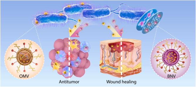 https://cdn.ncbi.nlm.nih.gov/pmc/blobs/a627/10904884/48c73e1f394d/ga1.jpg