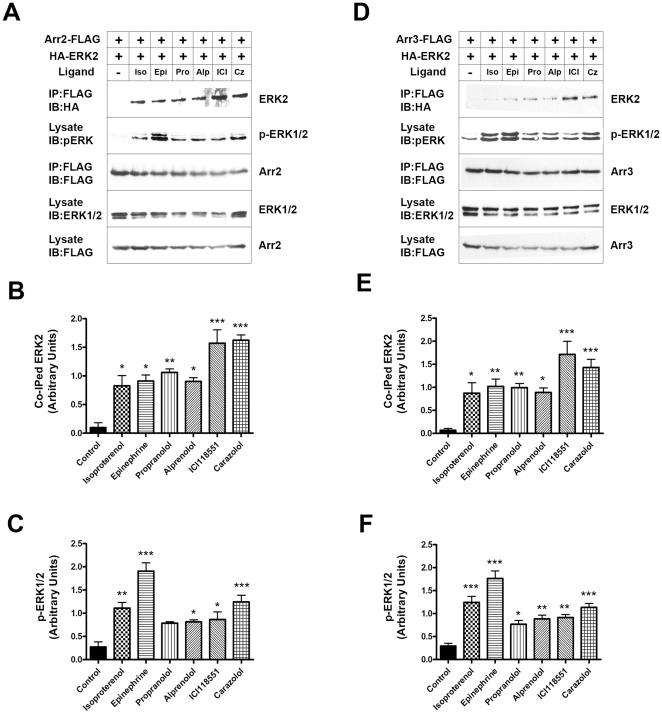 https://cdn.ncbi.nlm.nih.gov/pmc/blobs/a628/3236217/a91466af70d7/pone.0028723.g006.jpg