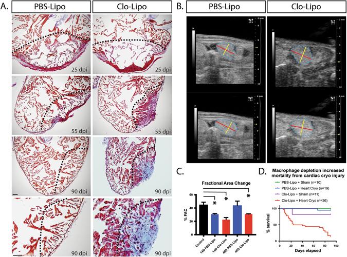 https://cdn.ncbi.nlm.nih.gov/pmc/blobs/a62a/5677961/b50e65e9e153/41536_2017_27_Fig3_HTML.jpg