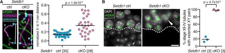 https://cdn.ncbi.nlm.nih.gov/pmc/blobs/a62a/6286383/38cf398fa331/gr4.jpg