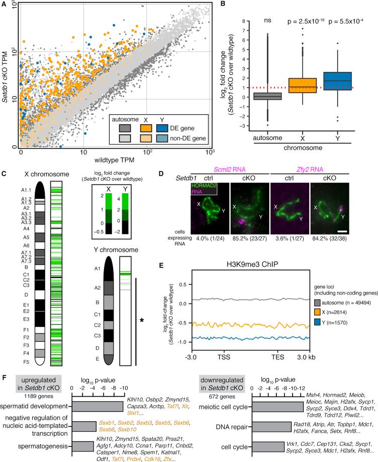 https://cdn.ncbi.nlm.nih.gov/pmc/blobs/a62a/6286383/92462abfaac5/gr5.jpg
