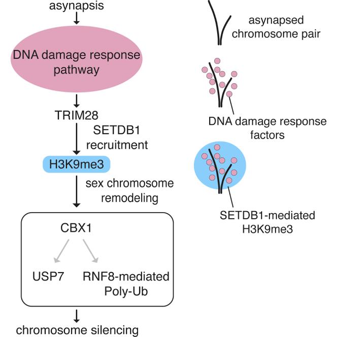 https://cdn.ncbi.nlm.nih.gov/pmc/blobs/a62a/6286383/bb6bb727bd0a/fx1.jpg