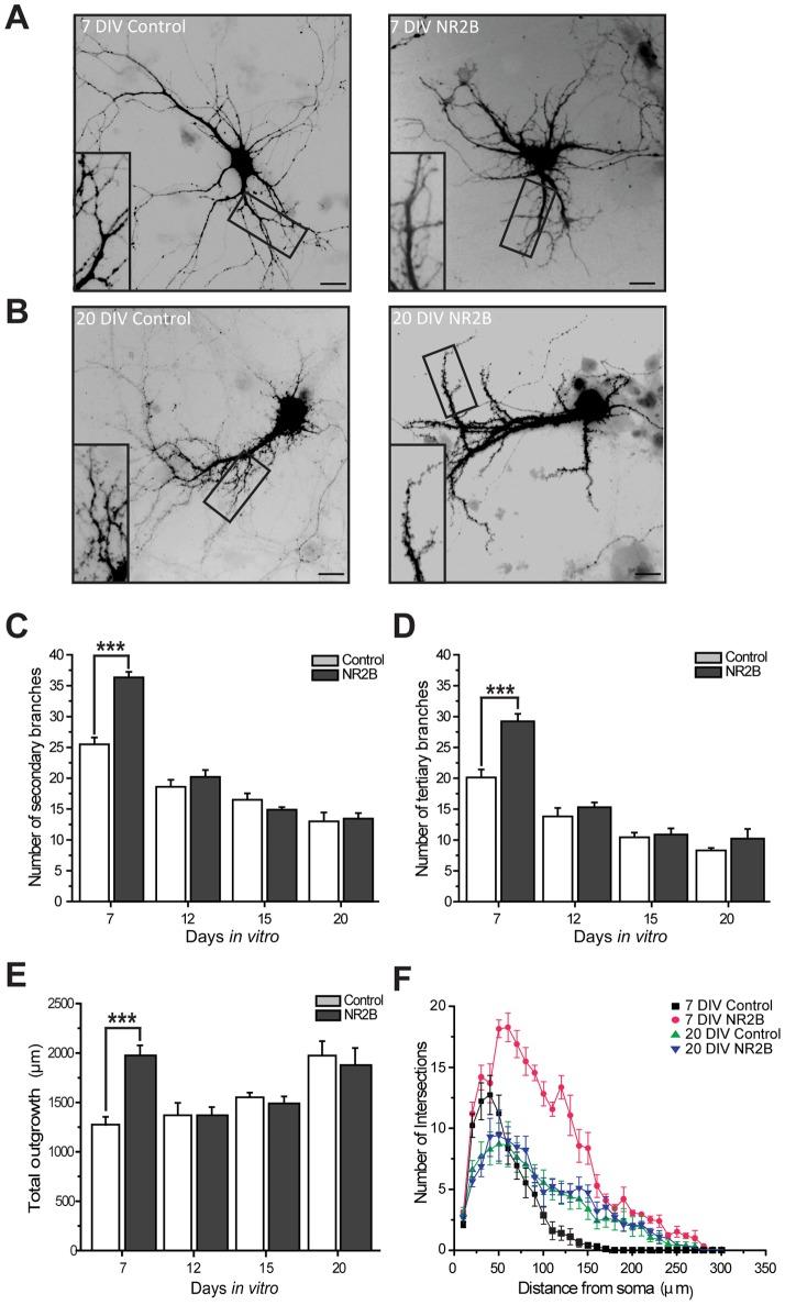 https://cdn.ncbi.nlm.nih.gov/pmc/blobs/a62d/3976375/6bc8867c0e4a/pone.0094037.g002.jpg