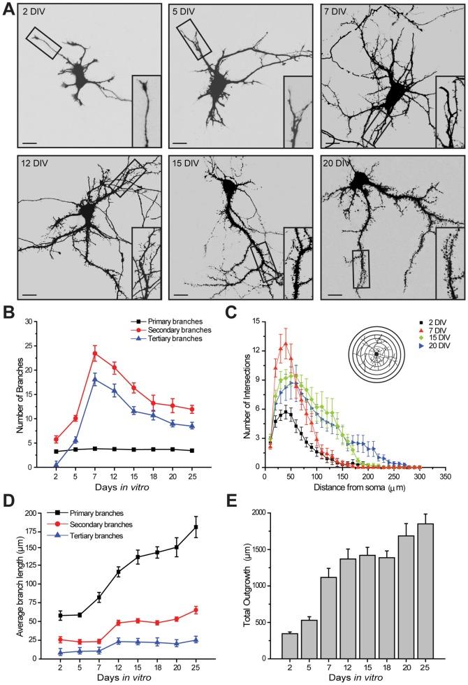 https://cdn.ncbi.nlm.nih.gov/pmc/blobs/a62d/3976375/bece1ab4c816/pone.0094037.g001.jpg