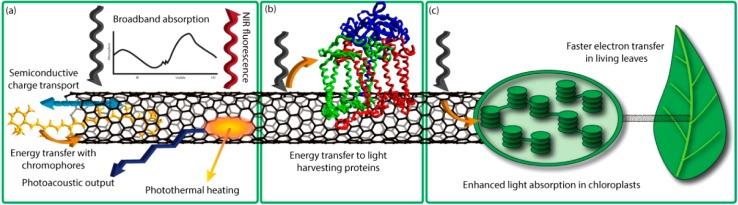 https://cdn.ncbi.nlm.nih.gov/pmc/blobs/a62d/4850505/b18e38a71cde/oc-2016-00005u_0005.jpg