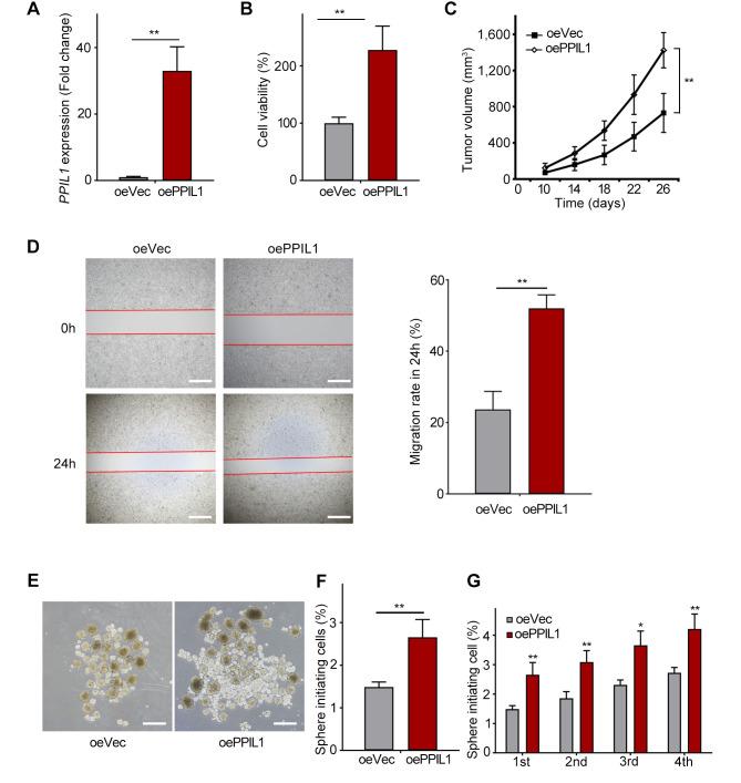 https://cdn.ncbi.nlm.nih.gov/pmc/blobs/a632/12402719/25a610cdad3a/cgp-22-768-g0001.jpg