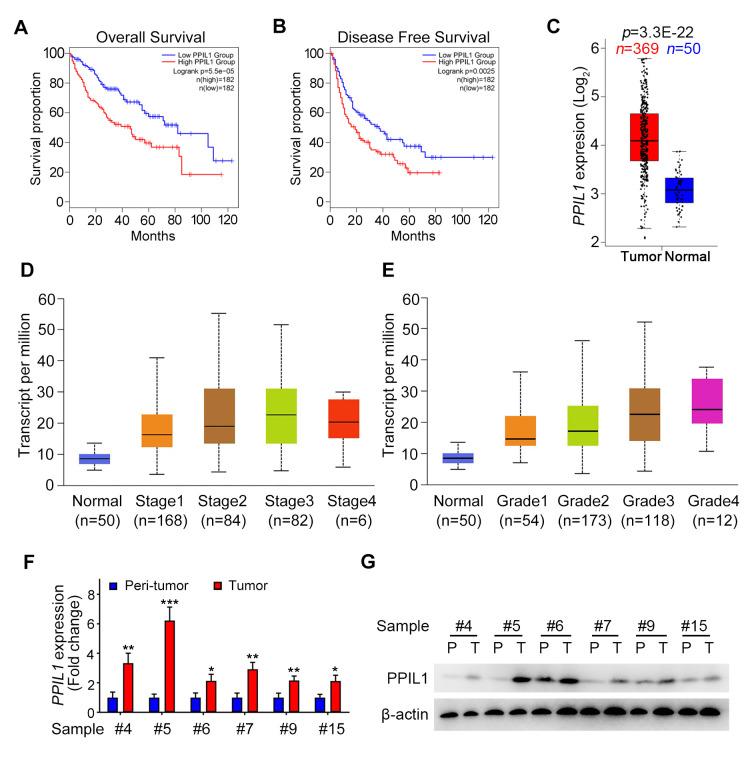 https://cdn.ncbi.nlm.nih.gov/pmc/blobs/a632/12402719/81300e5dcc85/cgp-22-764-g0001.jpg
