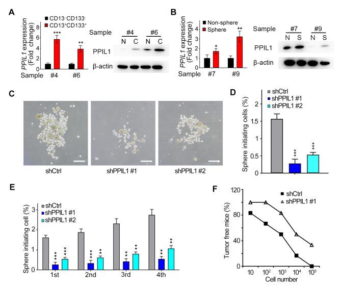 https://cdn.ncbi.nlm.nih.gov/pmc/blobs/a632/12402719/b0ce01377fc4/cgp-22-767-g0001.jpg
