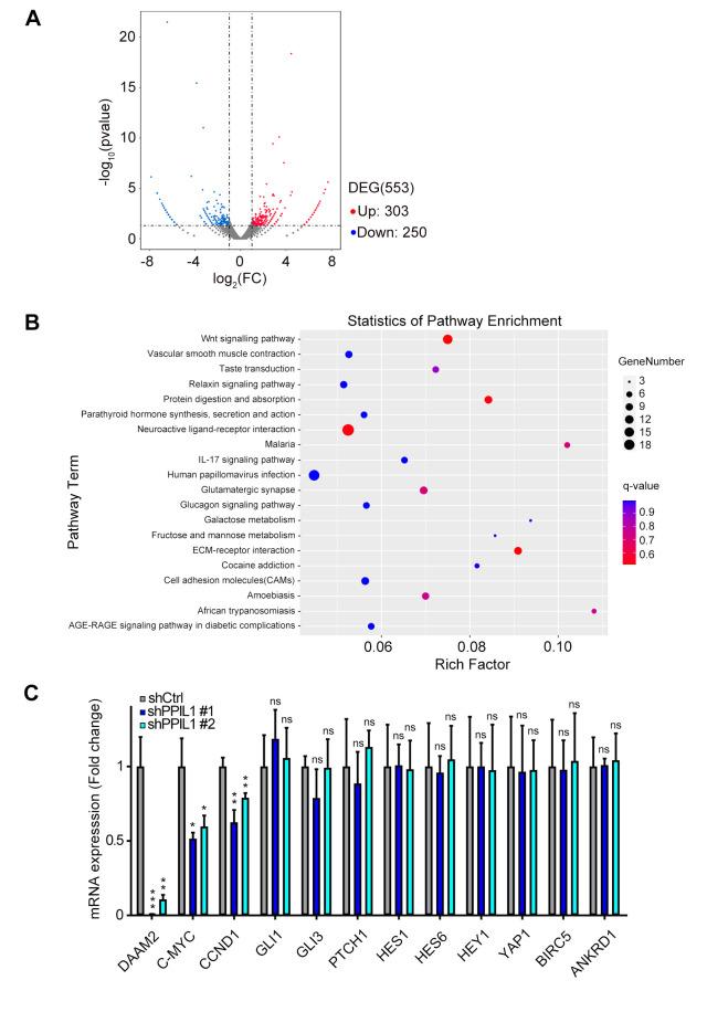 https://cdn.ncbi.nlm.nih.gov/pmc/blobs/a632/12402719/b3d728777744/cgp-22-770-g0001.jpg