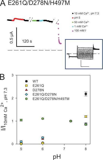 https://cdn.ncbi.nlm.nih.gov/pmc/blobs/a632/2931146/070c03671e51/JGP_201010455_RGB_Fig7.jpg