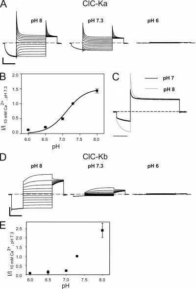 https://cdn.ncbi.nlm.nih.gov/pmc/blobs/a632/2931146/78b39f5e49eb/JGP_201010455_GS_Fig2.jpg