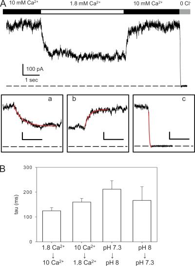https://cdn.ncbi.nlm.nih.gov/pmc/blobs/a632/2931146/8284c5beec15/JGP_201010455_RGB_Fig3.jpg