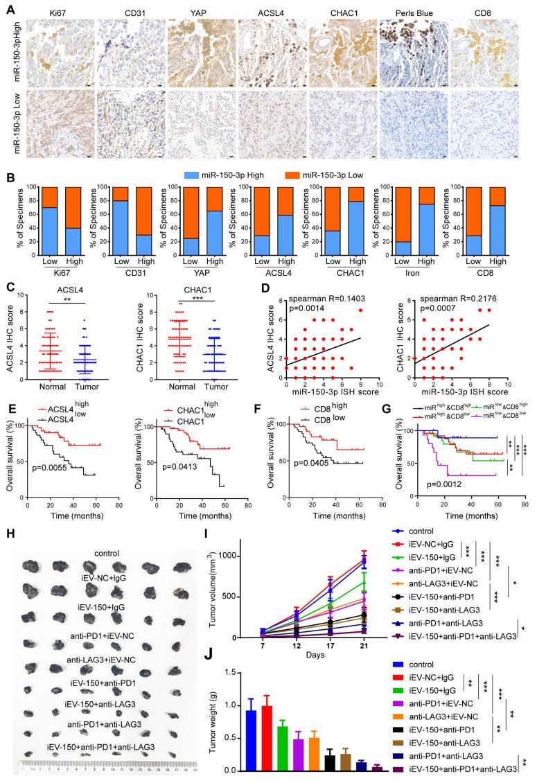 https://cdn.ncbi.nlm.nih.gov/pmc/blobs/a633/12374587/3ed539025246/thnov15p8377g009.jpg