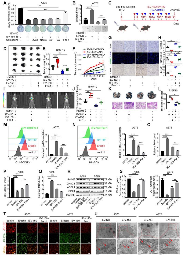 https://cdn.ncbi.nlm.nih.gov/pmc/blobs/a633/12374587/a1115d5cd1bb/thnov15p8377g005.jpg