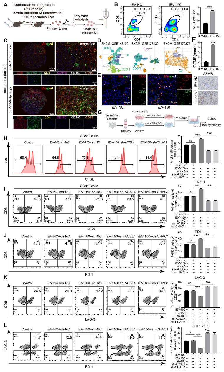 https://cdn.ncbi.nlm.nih.gov/pmc/blobs/a633/12374587/eeec213566b8/thnov15p8377g008.jpg
