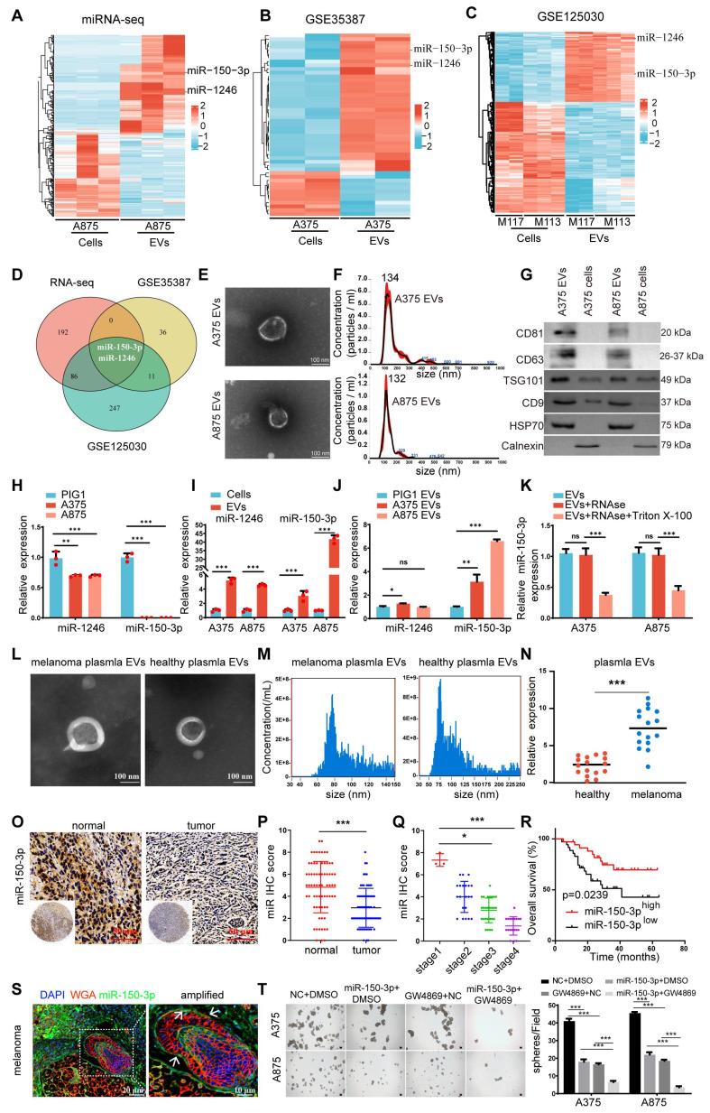 https://cdn.ncbi.nlm.nih.gov/pmc/blobs/a633/12374587/fb8fc1121435/thnov15p8377g002.jpg