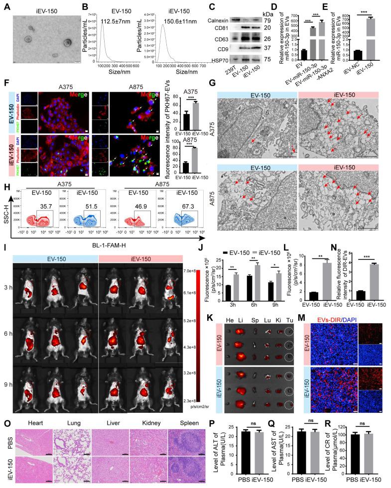 https://cdn.ncbi.nlm.nih.gov/pmc/blobs/a633/12374587/febf45f154a9/thnov15p8377g003.jpg