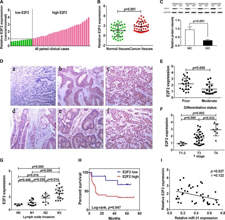 https://cdn.ncbi.nlm.nih.gov/pmc/blobs/a633/5095022/8512828e6adb/oncotarget-07-36577-g005.jpg