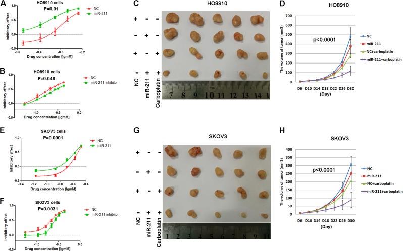 https://cdn.ncbi.nlm.nih.gov/pmc/blobs/a633/6591289/0d957accaa5d/41419_2019_1715_Fig3_HTML.jpg