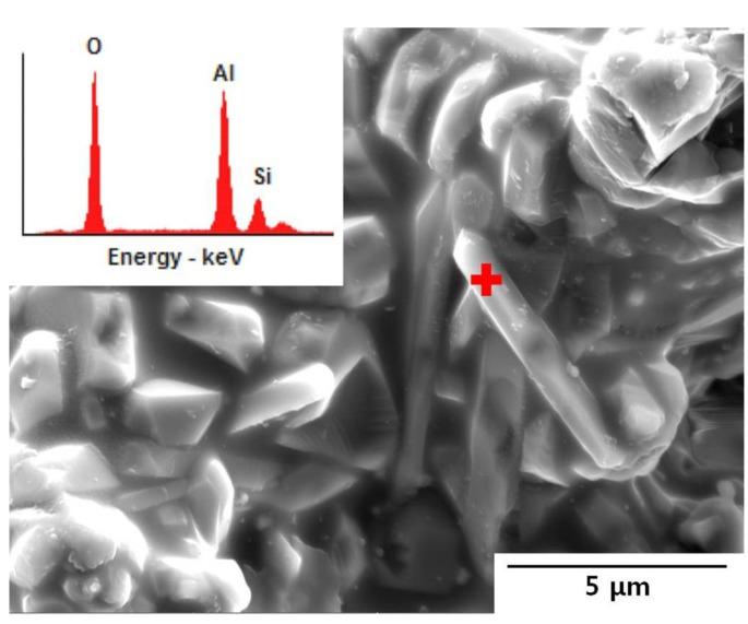 https://cdn.ncbi.nlm.nih.gov/pmc/blobs/a634/5456166/5d38a834998e/materials-07-05982-g003.jpg