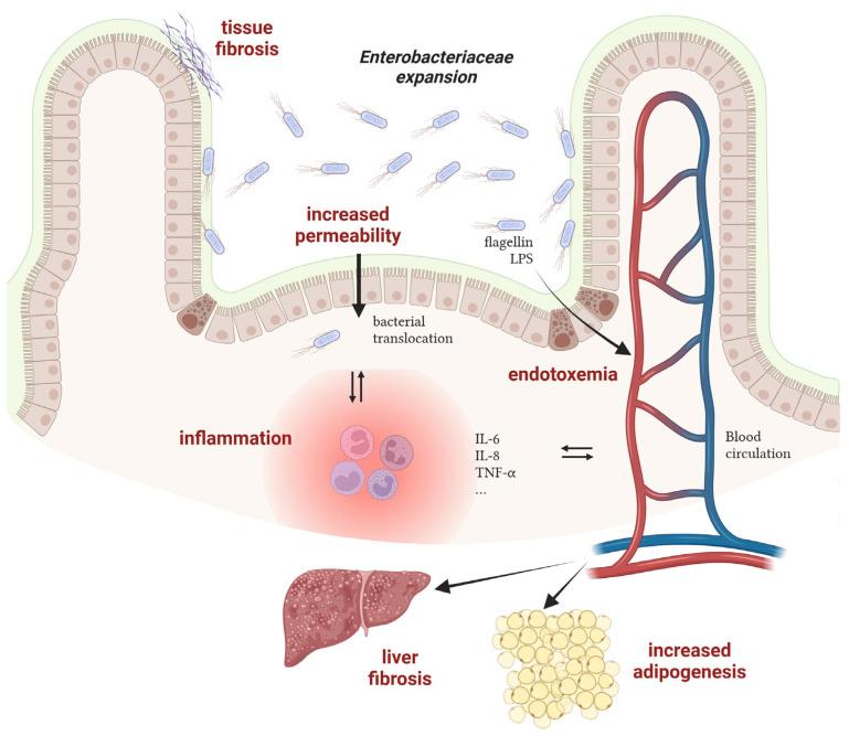 https://cdn.ncbi.nlm.nih.gov/pmc/blobs/a635/10967970/dc0dfe85c973/biology-13-00142-g002.jpg