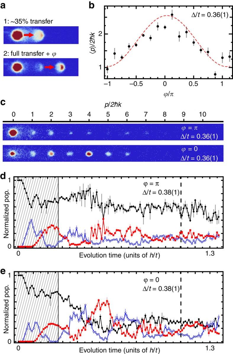 https://cdn.ncbi.nlm.nih.gov/pmc/blobs/a635/5196433/39bf978259b8/ncomms13986-f3.jpg
