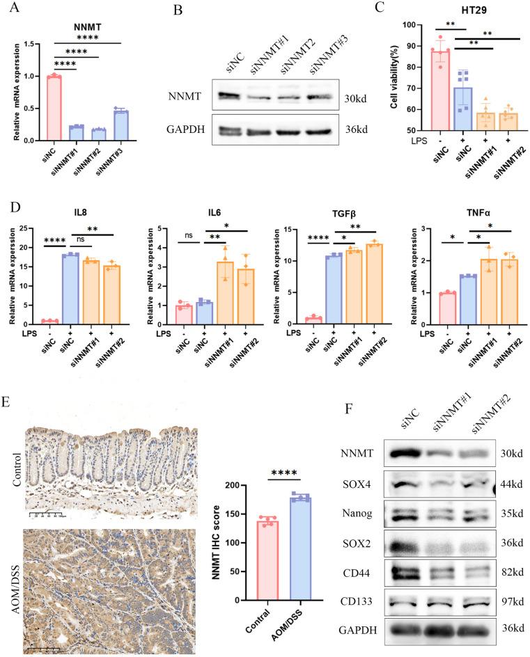 https://cdn.ncbi.nlm.nih.gov/pmc/blobs/a637/11300856/0890d08cca07/41598_2024_69322_Fig11_HTML.jpg