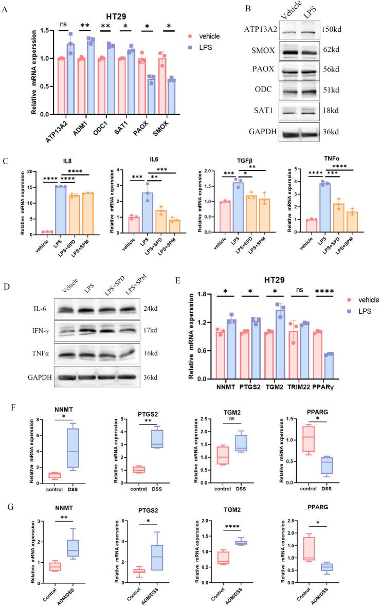 https://cdn.ncbi.nlm.nih.gov/pmc/blobs/a637/11300856/1f7304e76960/41598_2024_69322_Fig10_HTML.jpg