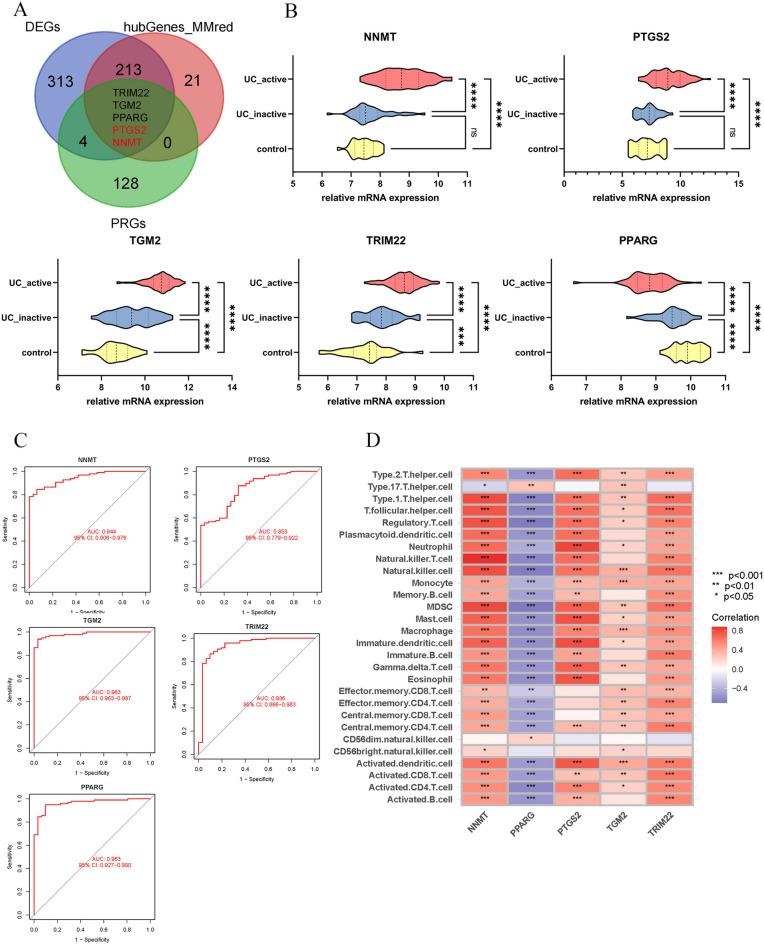 https://cdn.ncbi.nlm.nih.gov/pmc/blobs/a637/11300856/85f719424870/41598_2024_69322_Fig6_HTML.jpg