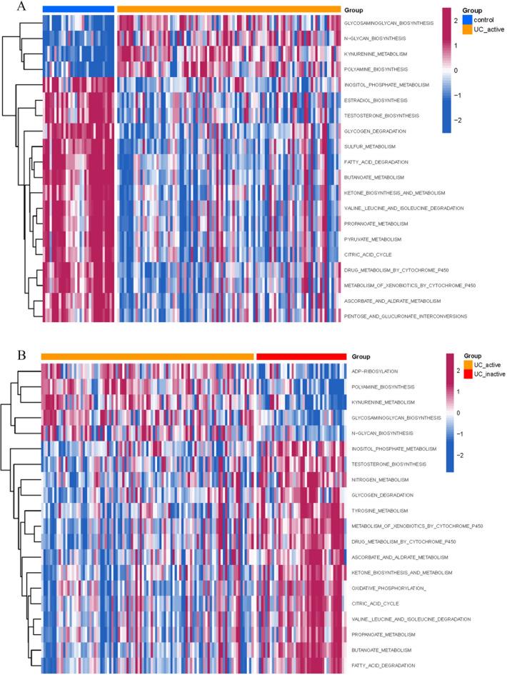 https://cdn.ncbi.nlm.nih.gov/pmc/blobs/a637/11300856/9c49b138d690/41598_2024_69322_Fig4_HTML.jpg