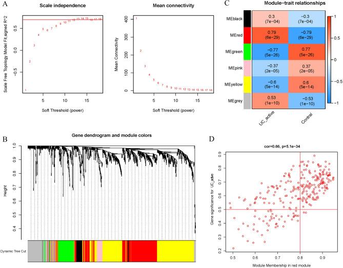 https://cdn.ncbi.nlm.nih.gov/pmc/blobs/a637/11300856/b111a79e87d0/41598_2024_69322_Fig5_HTML.jpg