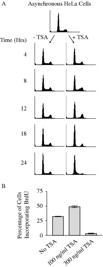 https://cdn.ncbi.nlm.nih.gov/pmc/blobs/a639/546162/c71340be7e79/gki177f4.jpg