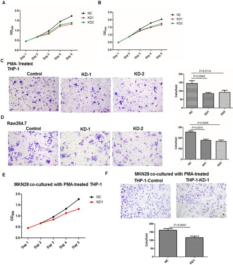 https://cdn.ncbi.nlm.nih.gov/pmc/blobs/a639/6930372/44453edf146d/ijbsv16p0172g002.jpg