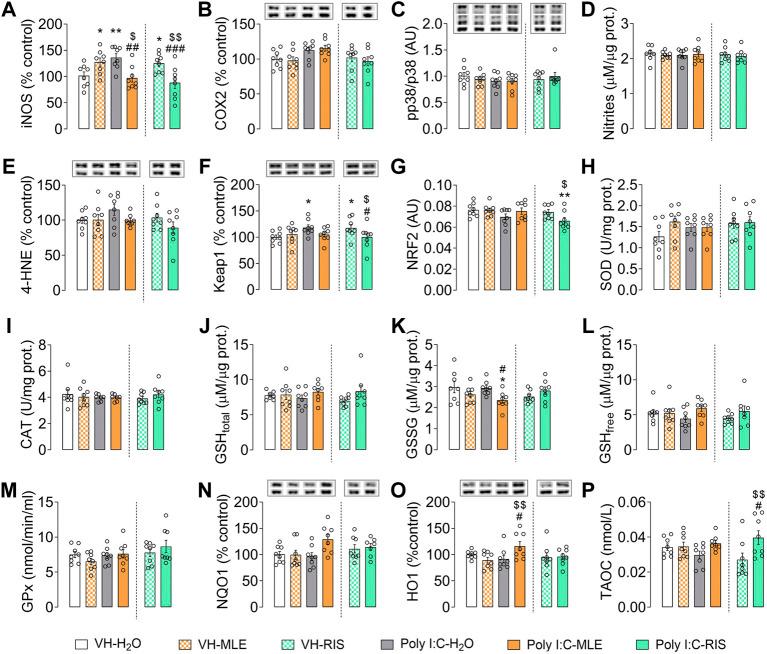 https://cdn.ncbi.nlm.nih.gov/pmc/blobs/a63b/9360613/8497db24568b/fphar-13-886514-g004.jpg