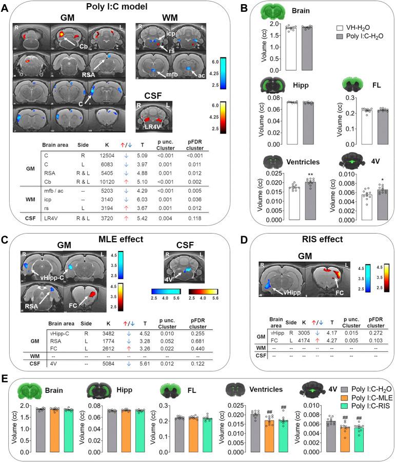 https://cdn.ncbi.nlm.nih.gov/pmc/blobs/a63b/9360613/dffd7b8fa53c/fphar-13-886514-g003.jpg