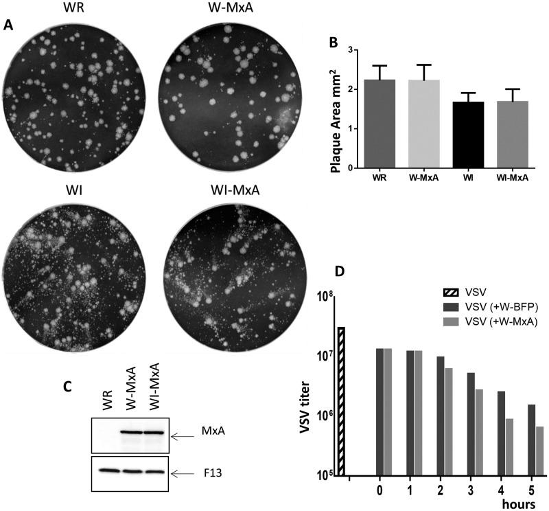 https://cdn.ncbi.nlm.nih.gov/pmc/blobs/a63e/5519081/b0b634fcf8ac/pone.0181459.g005.jpg