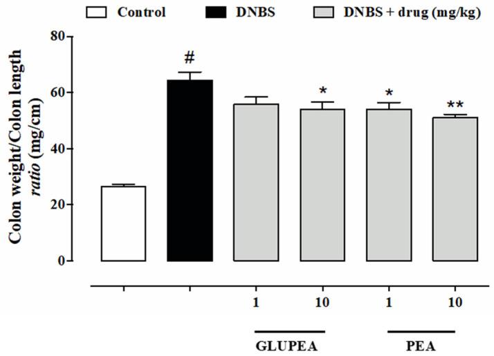 https://cdn.ncbi.nlm.nih.gov/pmc/blobs/a63e/7924038/571e911b559d/cells-10-00450-g006.jpg