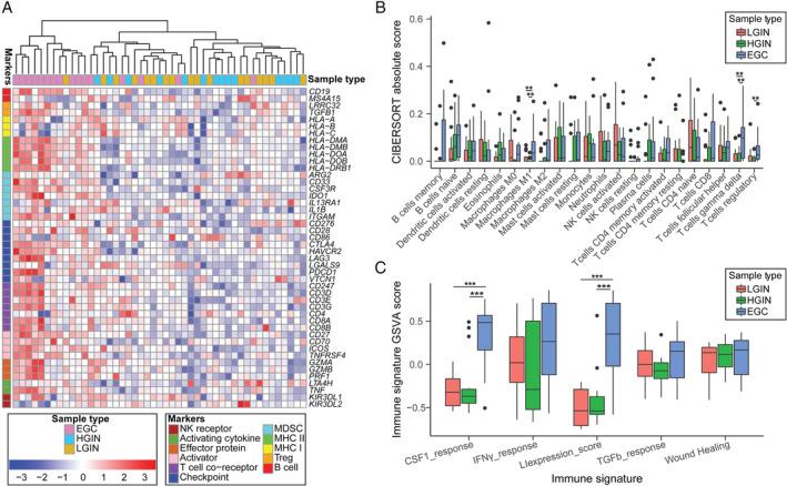 https://cdn.ncbi.nlm.nih.gov/pmc/blobs/a63f/7317417/87ae7043c496/PATH-251-135-g004.jpg
