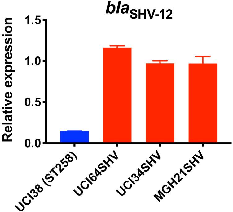 https://cdn.ncbi.nlm.nih.gov/pmc/blobs/a641/8079144/34c4338fcef6/elife-67310-fig2-figsupp1.jpg