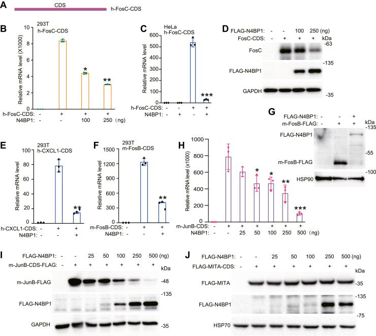 https://cdn.ncbi.nlm.nih.gov/pmc/blobs/a645/11648238/1848b27b9b31/gr2.jpg