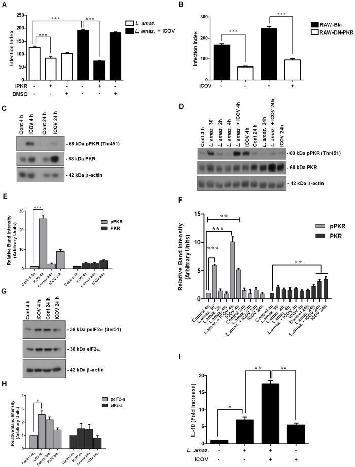 https://cdn.ncbi.nlm.nih.gov/pmc/blobs/a645/6602282/242d6e49a5a9/pntd.0007500.g002.jpg