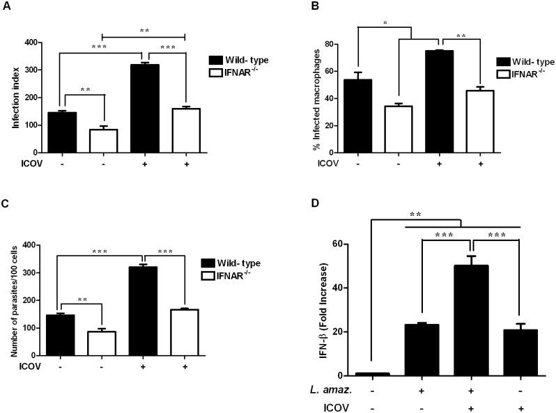 https://cdn.ncbi.nlm.nih.gov/pmc/blobs/a645/6602282/8f40a02a5225/pntd.0007500.g003.jpg