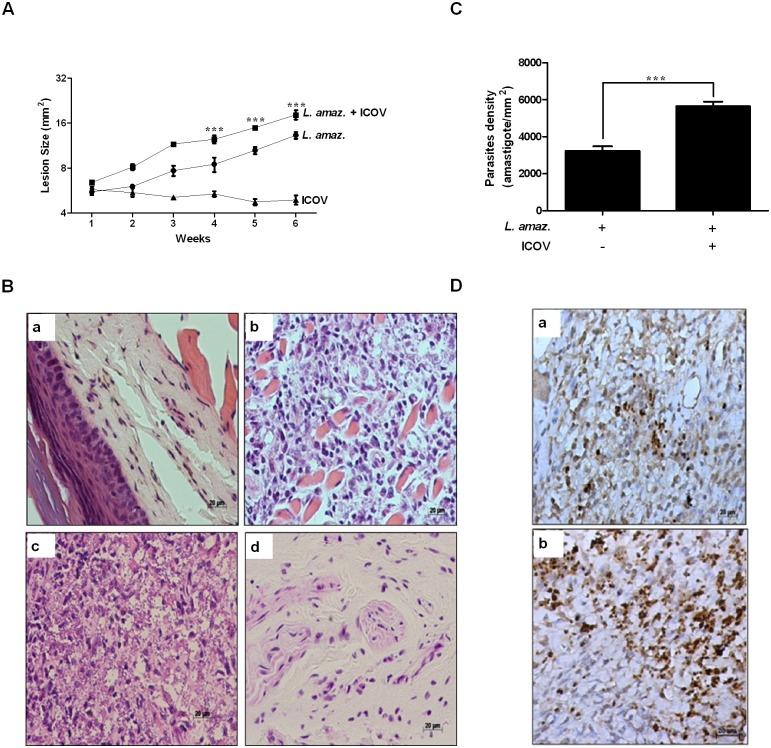 https://cdn.ncbi.nlm.nih.gov/pmc/blobs/a645/6602282/b97ebff855f2/pntd.0007500.g004.jpg