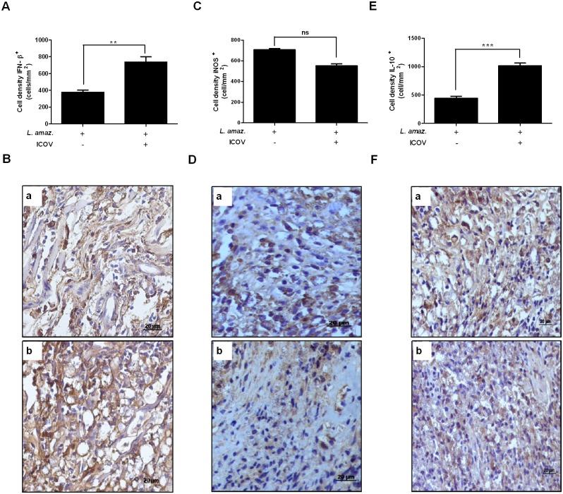 https://cdn.ncbi.nlm.nih.gov/pmc/blobs/a645/6602282/fdf9e75173ed/pntd.0007500.g005.jpg