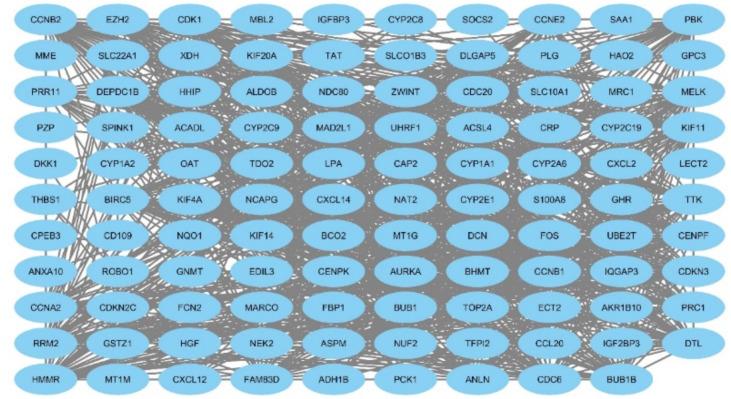 https://cdn.ncbi.nlm.nih.gov/pmc/blobs/a646/11488550/3b4de503d6f0/IJPH-53-1332-g004.jpg